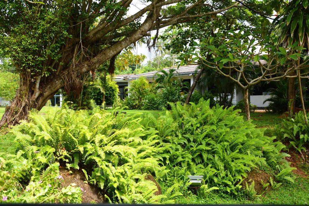 River View Banquet & Resort Wadduwa Bagian luar foto